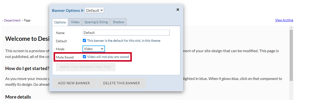The checkbox labeled Mute Sound.