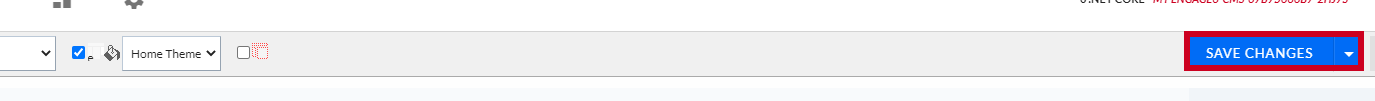 The button labeled Save Changes.