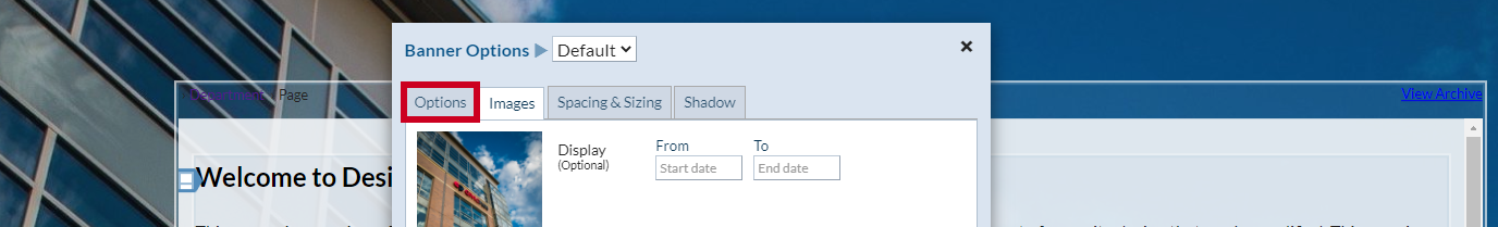 The tab labeled Options to the left of the Images tab.