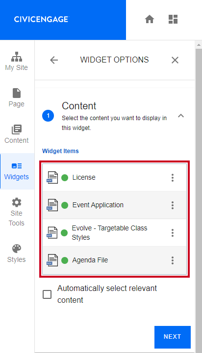 The list of items under the Widget Items header.