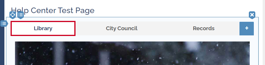 The tab in the tabbed widget.