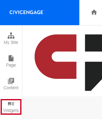 The button labeled Widgets in the vertical menu on the left side of the page.