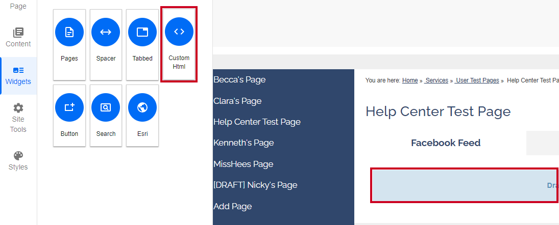 The box labeled Custom Html dragged and dropped onto the page.