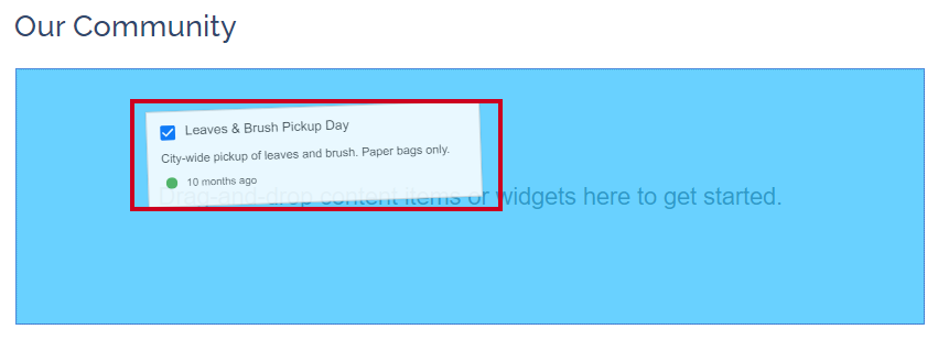 The content dragged and dropped onto the page.