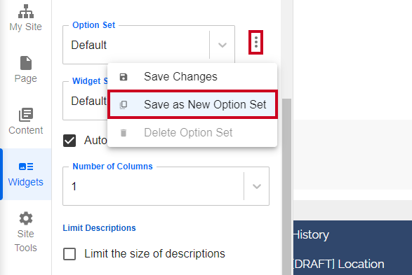 The three vertical dots to the right of the Option Set dropdown, and the Save as New Option Set option.