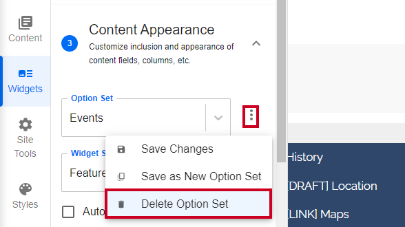 The vertical three-dot menu to the right of the Option set dropdown, and the Delete Optio Set options.