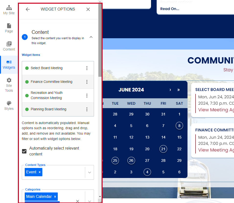 Calendar widget options fields.