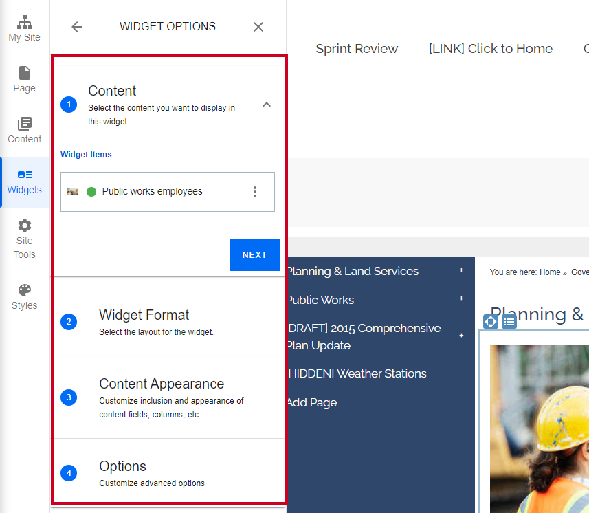Asset widget and content options.