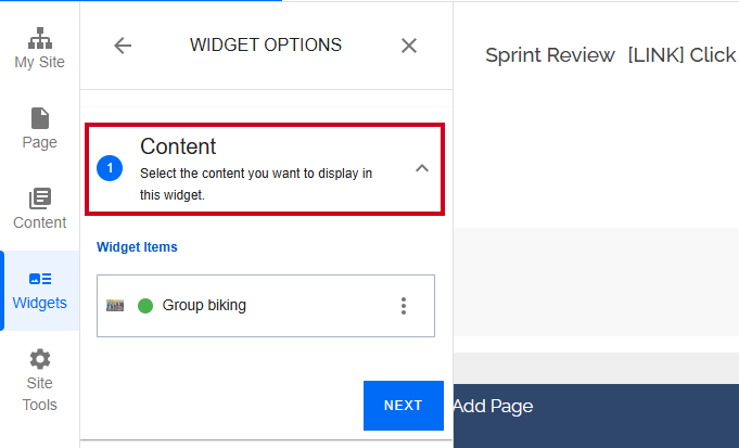 Content widget options.