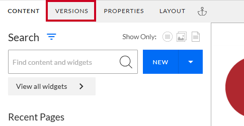 The Versions tab in Web Evolve's old user interface.