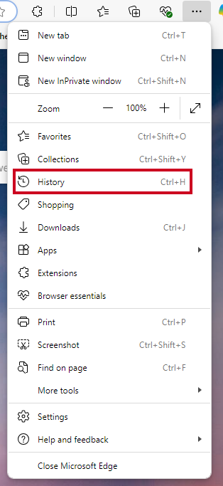The option labeled History in the settings menu.