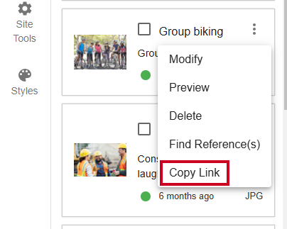 Evolve, Image Asset Action Menu, Copy Link Option.
