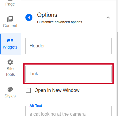 Evolve, Image Asset, Widget Options, Link Field.