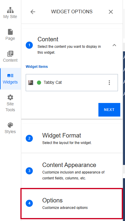 Evolve, Image Asset, Widget Options, Options Tab.