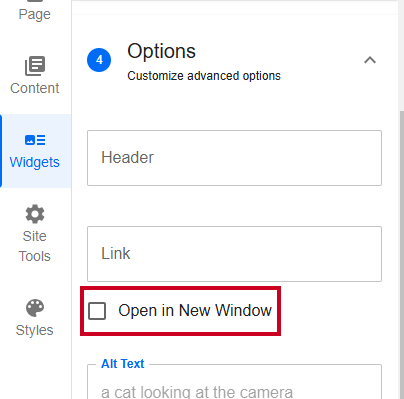 Evolve, Image Asset, Widget Options, Open in New Window Checkbox.