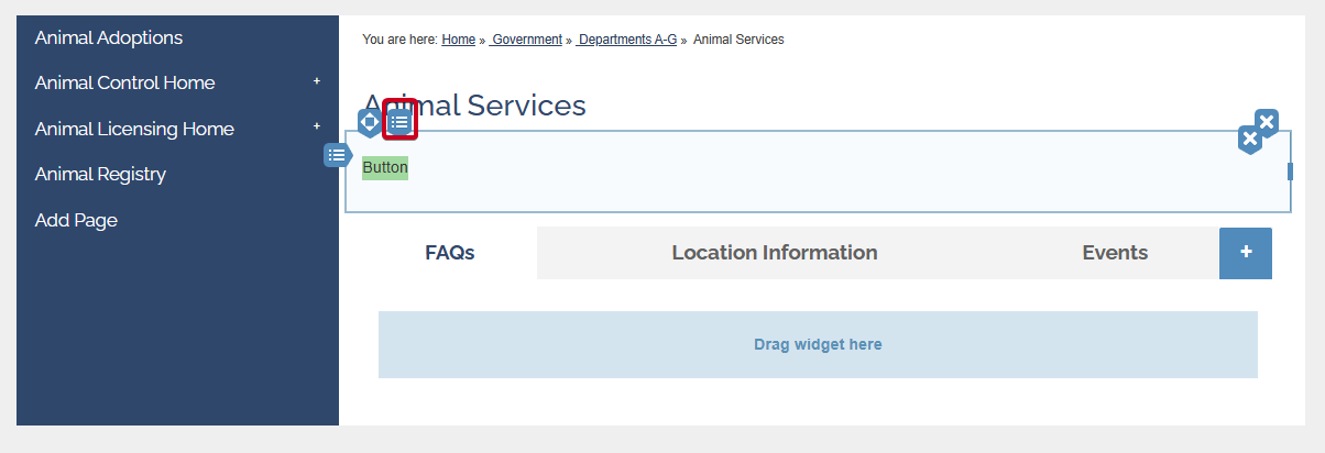 The tab labeled Button Options in the top-left corner of the widget tab.