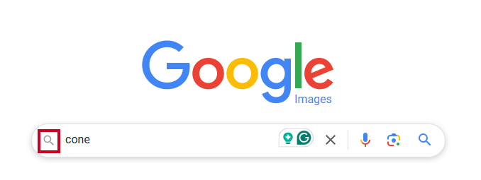 The magnifying glass icon at the left end of the text entry field.