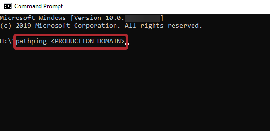 The pathping text typed into the command prompt.