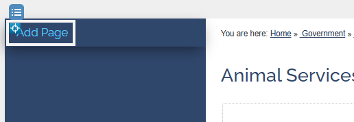 Add_Page__Custom_.png