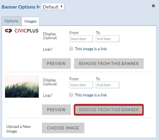 Evolve, Theme Manager, Remove from this Banner Button.