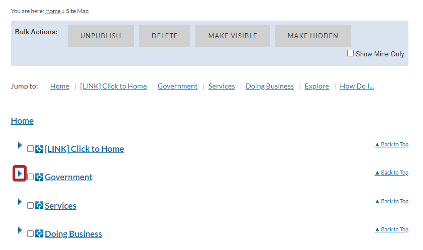 The arrow icon to the left of the page name.