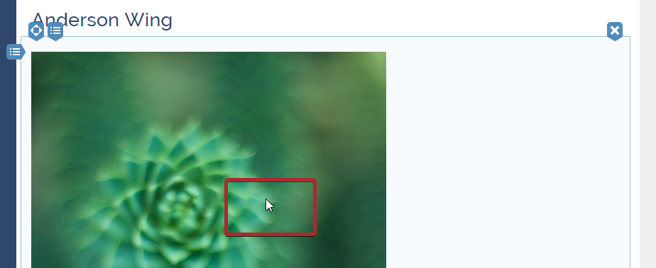 click_into_widget.png