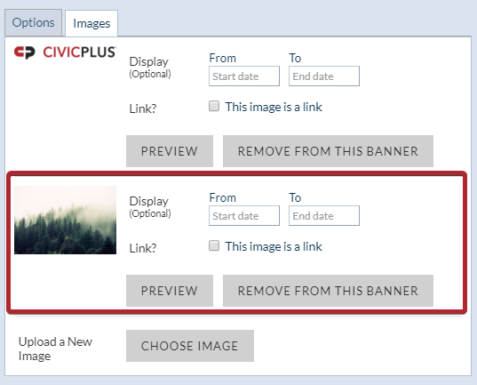 Evolve, Theme Manager, Image options.