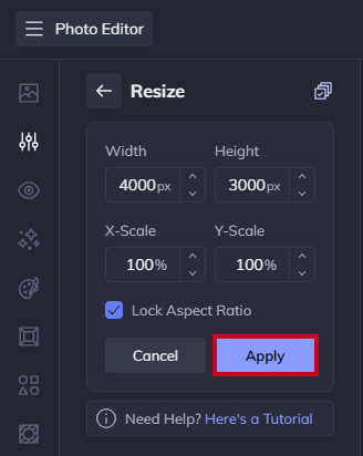 The button labeled Apply, below the Lock Aspect Ration button and to the right of the Apply button.