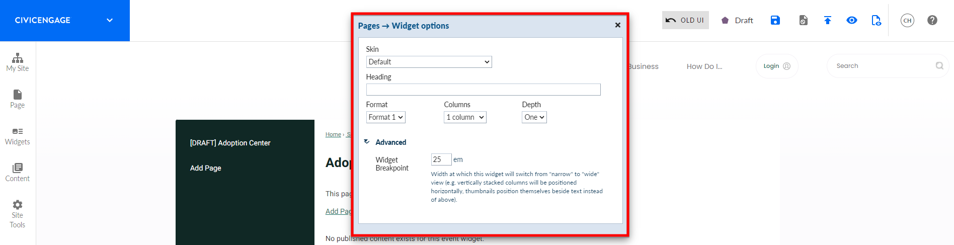 Configure the Widget Options