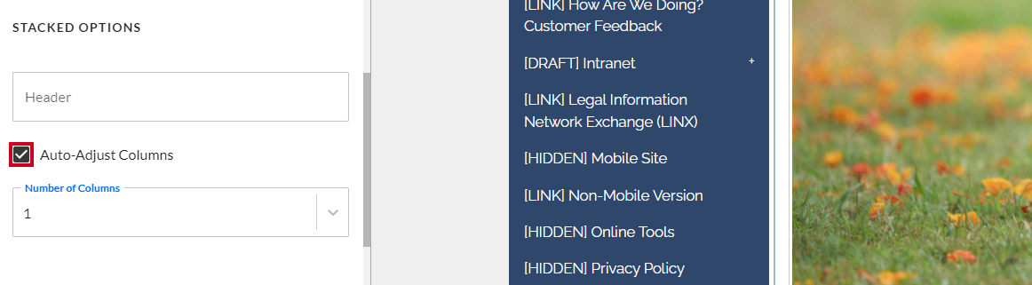 The checkbox toggle labeled Auto-Adjust Columns.