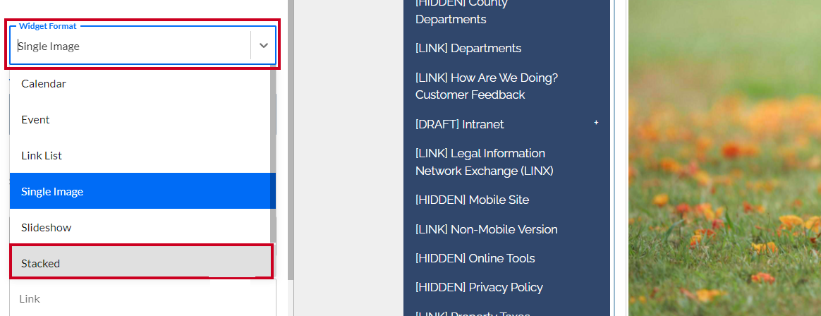 The dropdown labeled Widget Format, and the Stacked option selected.