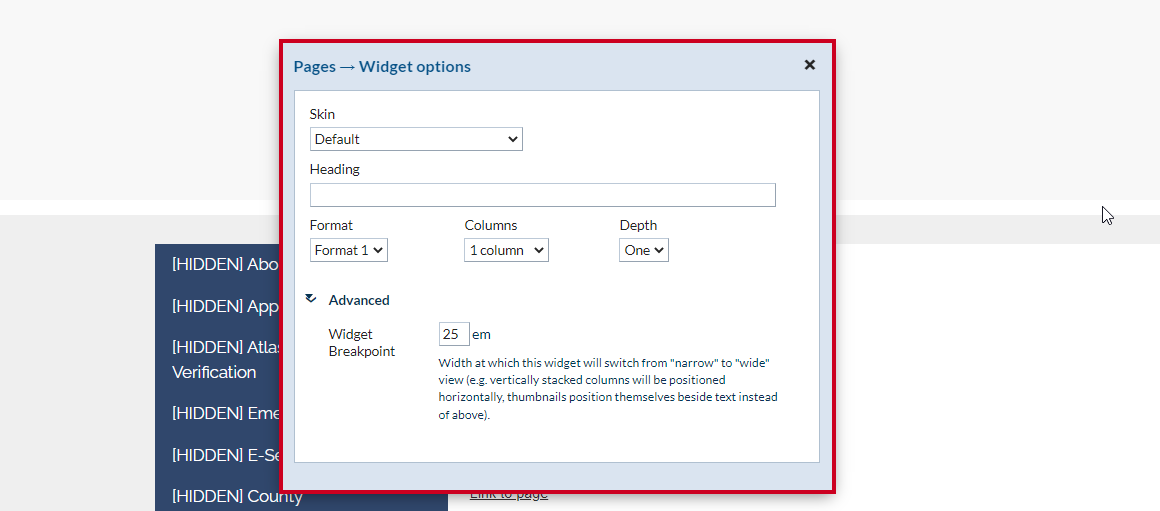Fill out widget options