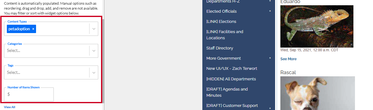 The dropdown fields under the Automatically select relevant content toggle.