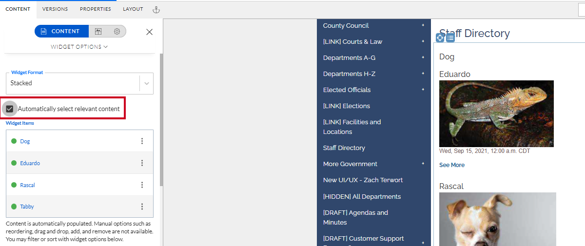 The checkbox toggle labeled Automatically select relevant content.