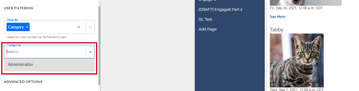 The dropdown labeled Categories under the Filer By dropdown.