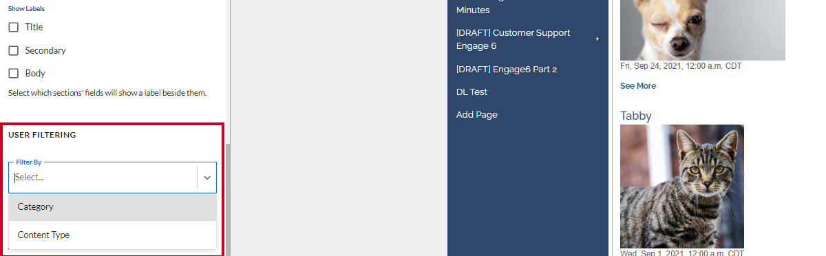 The dropdown labeled Filter By under the User Filtering header.