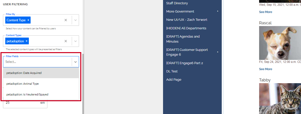 The Filter Fields dropdown, under the Content Types dropdown.