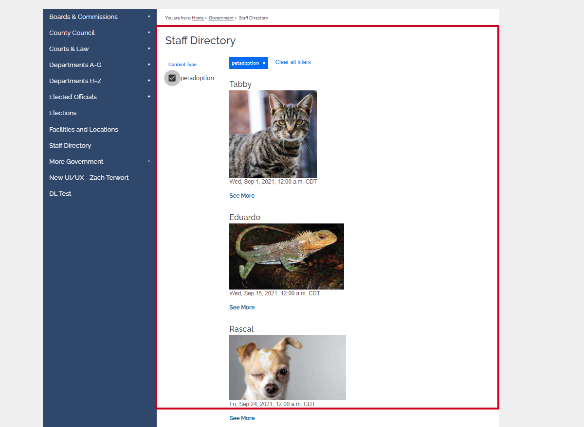 An example image of the filters appearing in the widget on the page.