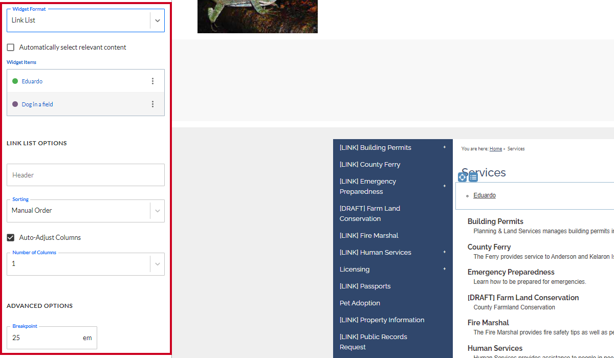 Link List Content options