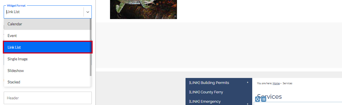 widget format drop-down menu, link list