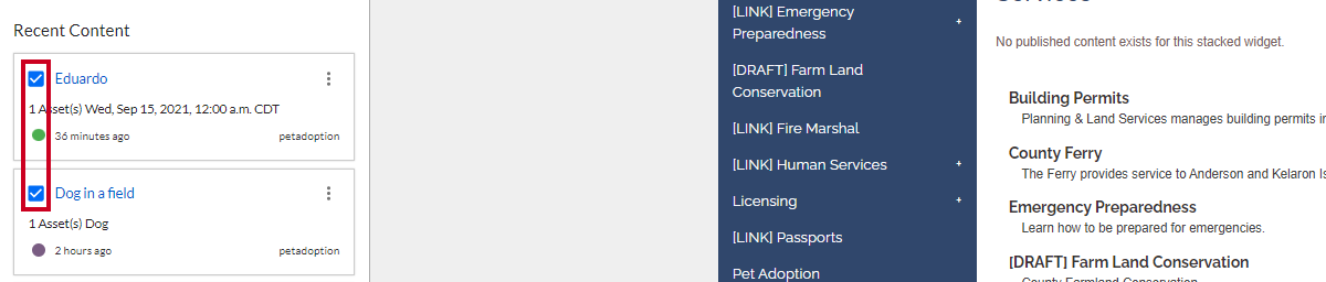 asset checkboxes.png