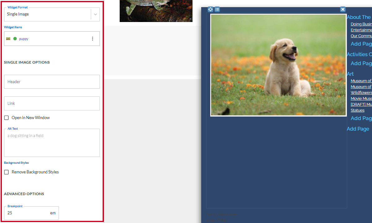 content tab, image options