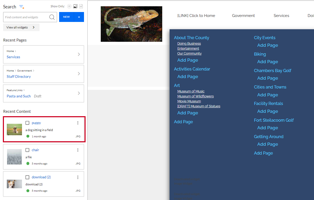 content tab image asset