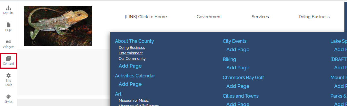 content module