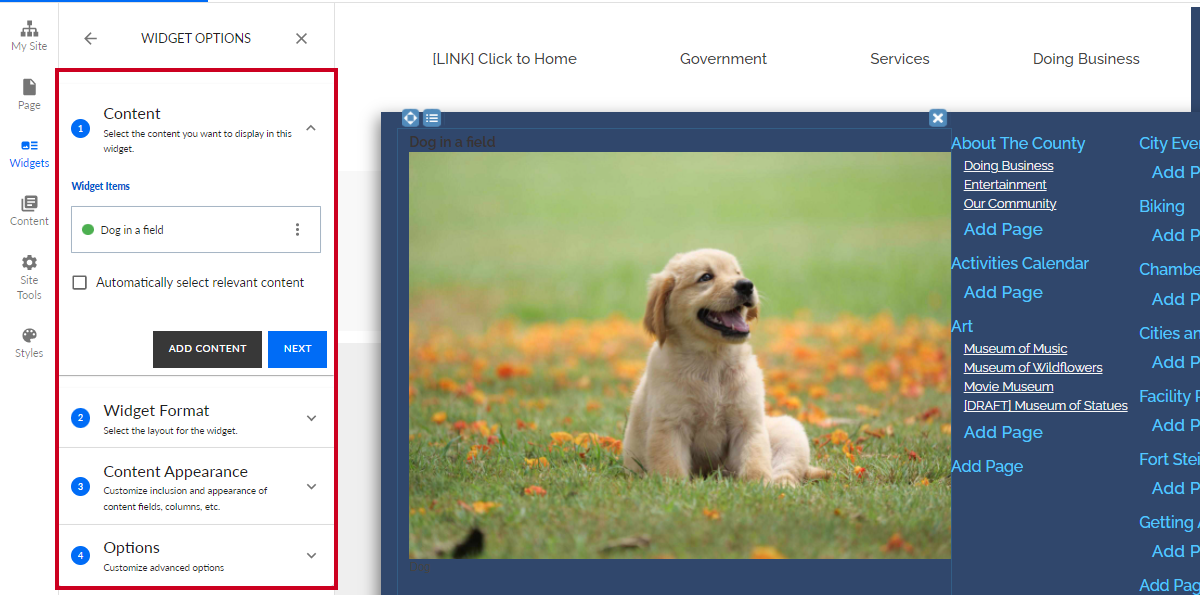 content menu, image options
