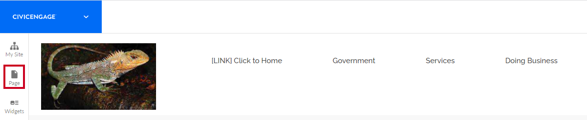 page options button