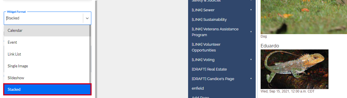 The Stacked option in the Widget Format dropdown.
