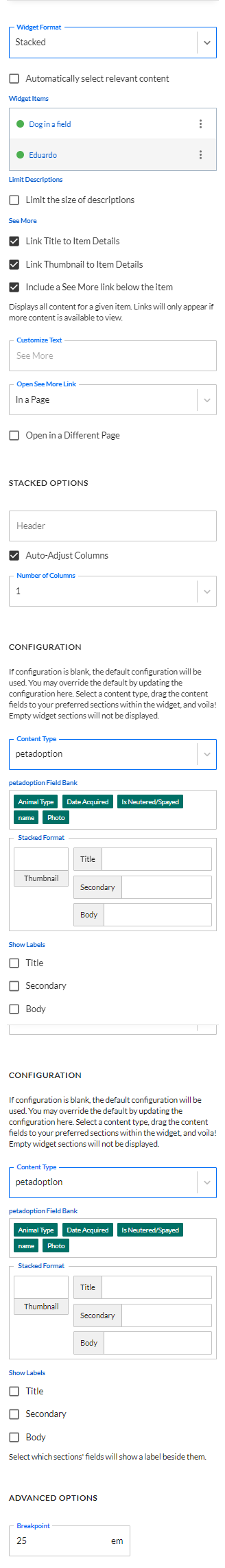 The text entry fields, dropdown menus, and checkbox toggles that make up the Content Options.