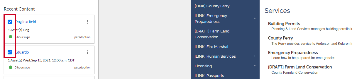 The content checkbox toggles.