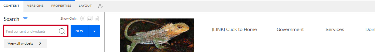 The text entry field labeled Find content and widgets below the Search header.
